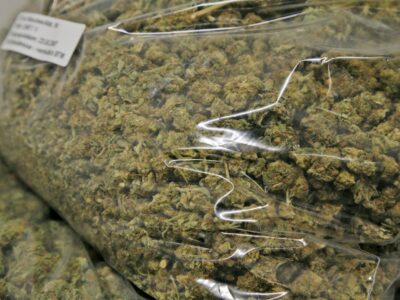 Insgesamt 30 Kilogramm Cannabis haben die Ermittler sichergestellt (Foto: Zollfahndungsamt Dresden)