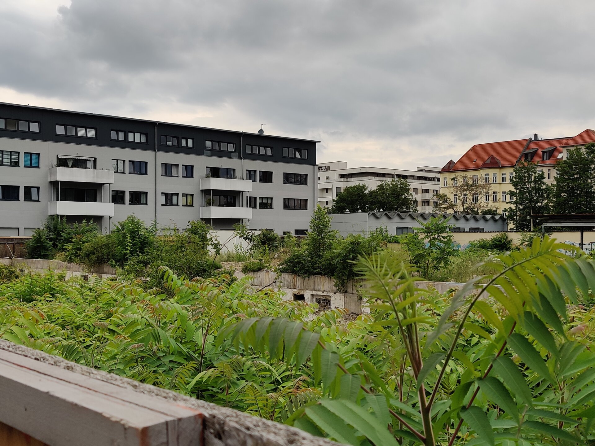 Das umzäunte Bauland auf der Ostseite liegt ebenfalls schon länger brach. 