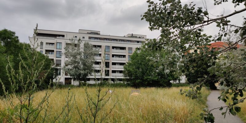 Diese Grünfläche am Gerichtsweg könnte bald verschwinden.